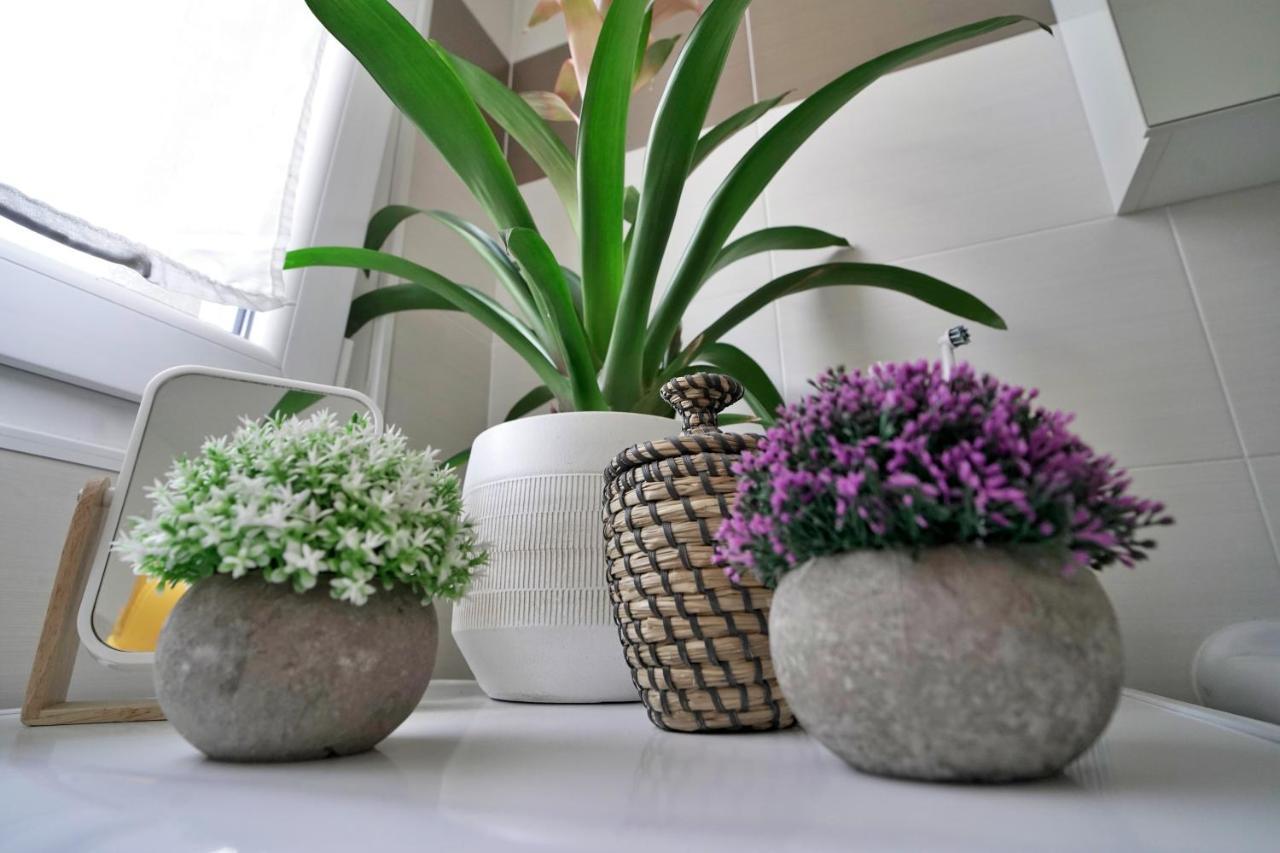 מילאנו Rentopolis Apartments - Palazzo Candiani מראה חיצוני תמונה